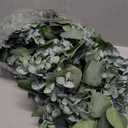 Winlyn 5.9' Long Faux Silver Dollar Eucalyptus Leaves Greenery Artificial Garland in Grey Green for Wedding Arch Swag Backdrop Doorways Table Runner Indoor Outdoor