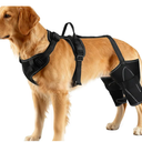 Rebron Dog Hip & Leg Support Harness for Mobility Assistance, Adjustable Rear Leg Brace with Lift Handle for Injured or Senior Dogs, Joint Stabilizing Hind Leg Support for Walking, Recovery, XL