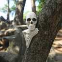 Crazy Bonez Skeleton Tree Peeker Outdoor Decoration