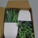 Der Rose 2 Pack Small Fake Plants Mini Artificial Potted Plants for Table Desk Home Laundry Room Bathroom Office Decor