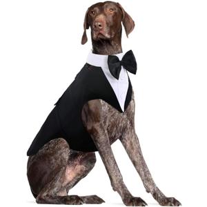 DORA BRIDAL Dog Tuxedo for Large Dogs, Dog Suit and Bowtie, Formal Dogs Wedding Outfit, Pet Tuxedo and Bandana Set Valentines Birthday Christmas Party Costumes for Labrador,Golden Retriever, Black, L