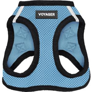 Best Pet Supplies Voyager Step-in Air Harness - All Weather Mesh, Reflective, No Pull Harness for Dogs, Cats - Secure with Hook & Loop Fastener, Buckle, Double D-Rings - Baby Blue/Black Trim, L (L (Chest: 18 - 20.5"))