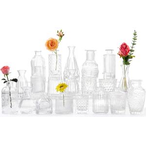 Glass Bud Vases -Set of 18 for Flowers, Small Clear Bud Vases in Bulk for Centerpieces Home Decor, Mini Glass Assorted for Rustic Wedding Floral Arrangements Home Table Decorations (20 Transparent Colors)