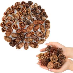 60 Pcs Large Natural Pine Cones for Crafts, 3 Kinds of Pine Cones. Christmas Pine Cones Ornaments- Fall Small Pinecones Vase Fillers for DIY Crafts, Home Decorations, Fall and Christmas, Wedding Decor