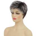 Kaneles Short Grey Pixie Cut Wigs for Women Layered Soft Fluffy Old Lady Synthetic Wigs for Daily Party Costume Halloween UseGray Mix Brown