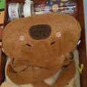 Capybara Gifts Box, Cute Capybara Toy for Girls Kids for Back to School, Birthday, of Shoulder Bag, Coin Purch, Water Bottle, Keychain, Plush Notebook, Eye Mask, Bracelet, Pocket Comb
