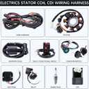 Complete Electrics Stator Coil CDI Wiring Harness with Full Copper Wire for 4-Stroke ATV Quad 150cc-300cc