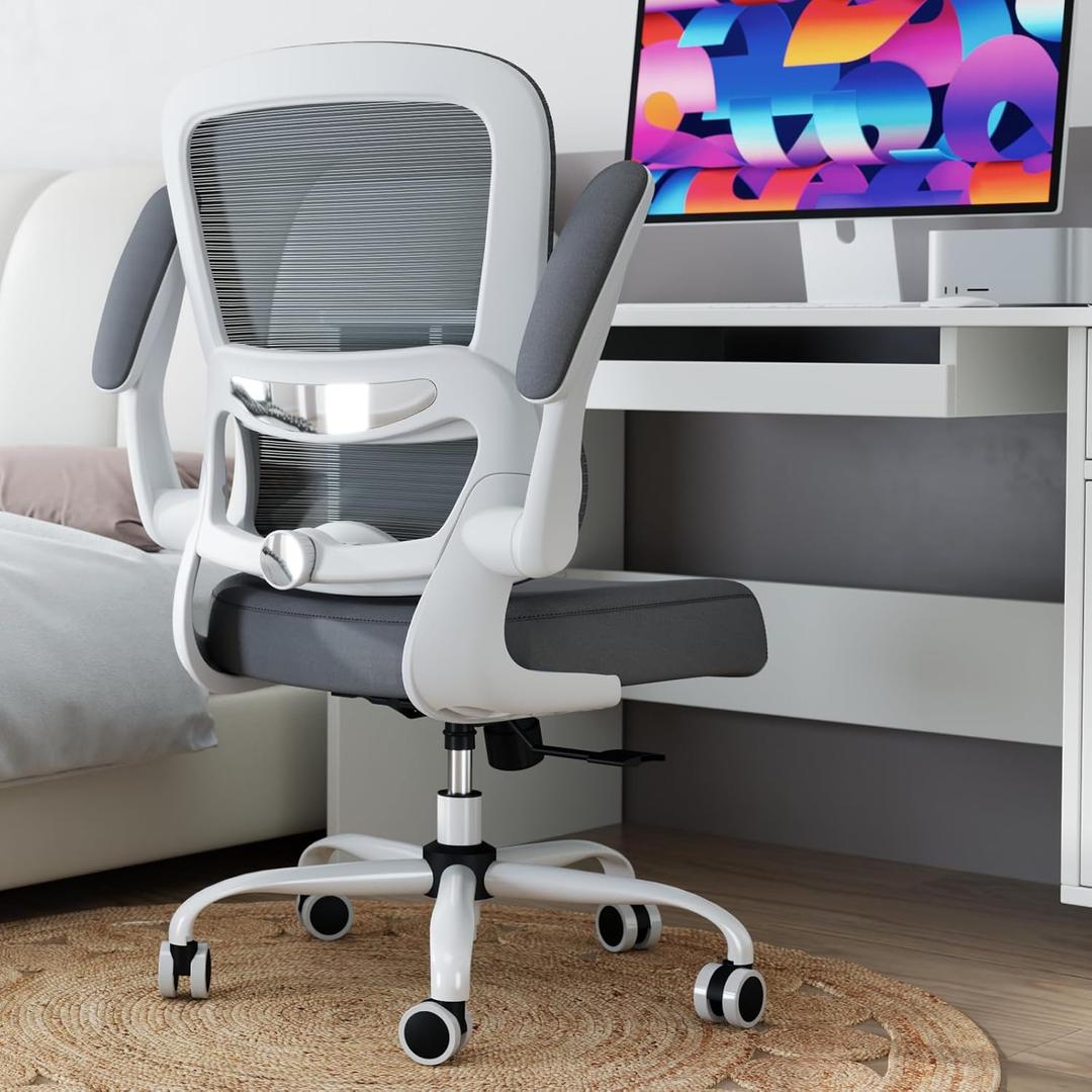 TRALT Office Chair - Ergonomic Desk Chair with Adjustable Lumbar Support, Mesh Computer Chair, Executive Chairs for Home Office Comfortable Lumbar Support (Ash Gray) (Pack of 1)