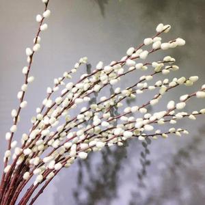 6 Stems Pussy Willow Branches for Vase Tall 55 Inches Artificial Pussy Willows Decorative Branches Twig Stick for Home Decoration
