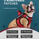 FAYOGOO Service Dog Vest for Small Breed - Lightweight Dog Harness with 6PCS Removable Patches - Puppy Harness and Leash Set for Walking,Training (Red)