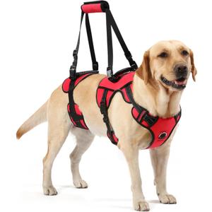 NOYAL Dog Lift Harness for Senior & Injured Pets Full-Body Support Sling with Breathable Mesh, Front/Rear Leg Assist for Arthritis, Hip Dysplasia & Post-Surgery Recovery (Medium-Large Breeds)