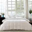 60% Goose Down Fiber Comforter Queen Size Luxurious Hotel Collection White Bedding Comforters All Season Medium Warmth Ultra Soft Fluffy 50 Oz Fill Weight (90"X90" White All Season)