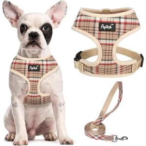 PUPTECK Soft Mesh Dog Harness and Leash Set Pet Puppy Cat Comfort Padded Vest No Pull Harnesses, Khaki, M (M (NECK: 14", CHEST: 17"-21"))