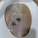 Bemis 170 Durable Plastic Toilet Seat, Elongated, White