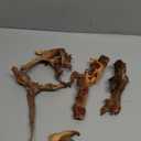 majoywoo Natural Small Coral Driftwood for Aquarium Decor Fish Tank Decorations, Assorted Driftwood Branch 4.5-7.5" 5 Pcs, Reptile Decor