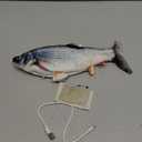 Potaroma Cat Toys Flopping Fish with Catnip, Moving Kitten Kicker, Floppy Wiggle Carp for Small Dogs, Interactive Motion Kitty Exercise, 10.5 Inches