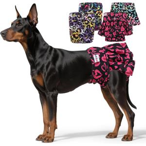 Female Dog Diapers Reusable No Tail Hole Period Panties Washable Diapers Female for Docked-Tail Frenchie French Bulldog Boston Terrier Without Tail (2 Pack Regular+2 Pack Skirts) U-WWDQB02XL