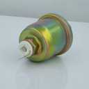 Engine Oil Pressure Sensor, PS-269 Oil Pressure Switch Compatible with Selected Chevrolet | Hummer | GMC etc, Oil Pressure Sending Unit by KeeRoarin