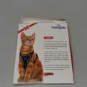 Cat Harness and Leash for Walking Escape Proof Soft Adjustable Cat Leash Breathable Comfortable Vest Easy to Wear Kitten Harness for Outdoor Travel Grey M (M (13-18lb))