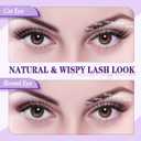 Wispy Lash Clusters 10-18mm Mix D Curl Lash Clusters 144pcs DIY Cluster Eyelash Extensions Individual Natural Lashes Cluster False Eyelash Clusters (S2 Lashes Only)