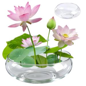 1 Pcs Lotus Bowl Planter Round Lotus Bowl Glass Lotus Flower Bowl Lotus Bowls for Planting in Water Indoors Applicable to Bonsai Bowl Lotus Flower Hydroponic Plant Home Decor (5.9IN)