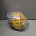 WILSON NBA Player Icon Mini Basketball - Lebron James, Mini Size
