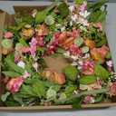 24 Inch Pink Orange Colorful Wildflowers Wreath, Artificial Poppy Wreath with Greenery Leaves, Spring Summer Decor Wreath for Front Door, Indoor Outdoor Wall, Window, & Farmhouse Home Decor
