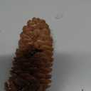 Artificial Christmas Hanging Basket Flocked with Mixed Decorations and Outdoor Decoration,for Decorated with Frosted Pine Cones, Berry Clusters