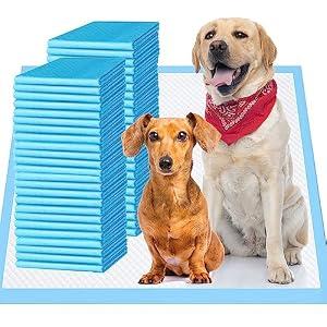 Upgrade Leak-Proof Pet Training and Puppy Pads, Jumbo Pee Pads for Dogs with Thicken Polymer Heavy Absorbency, Quick Dry Disposable Pee Pads for Cats Dogs - 100 Counts
