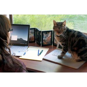 Cattop -  Laptop Pet Bed for Cats