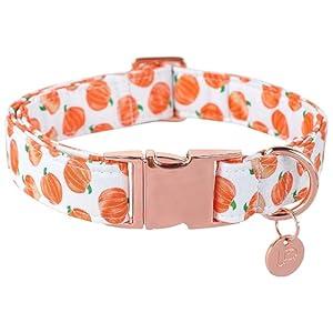 UP URARA PUP Halloween Dog Collar with Metal Buckle Gift Fall Dog Collar for Small Medium Large Girls or Boys Dogs Cute Pumpkin Cotton Pet Collars L