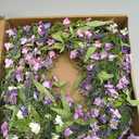 LLZLL Purple Spring Wreaths for Front Door 22 Inch Summer Wreath Artificial Violet Lavender Wreath with Eucalyptus Leaf for Spring Easter Home Decorations