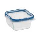 Snapware Total Solution Food Storage Container 1 cup, Pack of 3