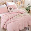 weigelia Queen Size Comforter Set Pink Comforter Modern Bedding Set for All Season Soft Lightweight Microfiber Girls Women Comforter Set (1 Blush Comforter, 2 Pillowcases)