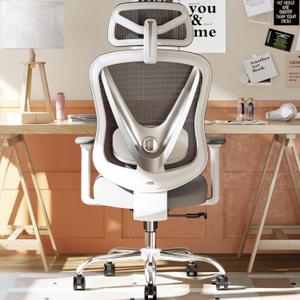 HOLLUDLE Ergonomic Mesh Office Chair - 3D Adjustable Lumbar Support & 3D Armrests, V-Shaped Back, Adjustable Desk Chair for Office & Home, White, Medium