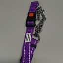 CollarDirect Martingale Dog Collar with Stainless Steel Chain and Quick Release Buckle - Reflective Collar for Large, Medium, Small Dogs - Purple, Large (Neck Size 17"-22")