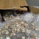 BBTO 200 Pcs Hanging Car Diffuser Bottles Bulk, Empty Clear Glass Air Freshener Bottles with Wooden Cap for Perfume Essential Oils Fragrance Aromatherapy Ornament(Square)