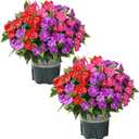 Artificial Flowers for Outdoors, 2 Set Fake Potted Flowers 12 Bundles UV Resistant Realistic Silk Faux Impatiens with Pot for Outside Balcony Garden Window Box