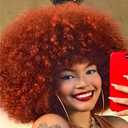 Afro Wig 14Inch Afro Wigs for Black Women 70s Afro Kinky Curly Wig Bouncy Huge Fluffy Puff Wigs Synthetic Hair for Cosplay Daily and Party (ginger)