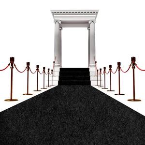 450 GSM Extra Thick Waterproof Black Carpet Runner for Events Decorations, 3X15 Ft Not Slip Red Runner Aisle Runway Rug for Wedding, Party, Banquet, Activity Entrance and Special Events Decorations