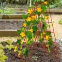 DoCred Cucumber Trellis, 2 Pack Foldable A Frame Trellis for Raised Bed Climbing Plants, Vegetables, Includes Plant Support Clips, Twist Ties, Plastic Ties- Made from PVC-Coated Steel