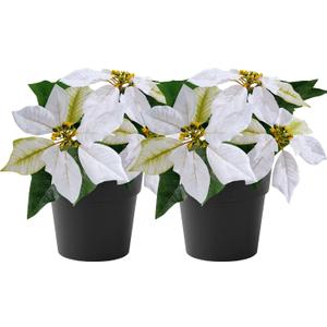 Mini Poinsettias Artificial Plants 2 Pack 9" Faux Small Christmas Flowers in Pot for Home Office Tabletop Indoor Christmas Decorations White