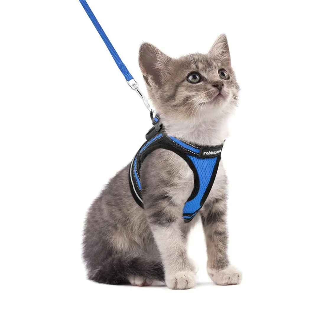 rabbitgoo Cat Harness and Leash Set for Walking Escape Proof, Adjustable Soft Kittens Vest with Reflective Strip for Cats, Comfortable Outdoor Vest, Blue, S