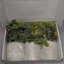 Der Rose 3 Pack Mini Potted Fake Plants Artificial Plastic Eucalyptus Plants Topiaries for Home Office Desk Farmhouse Shelf Room Bathroom Decor(Sage Green)