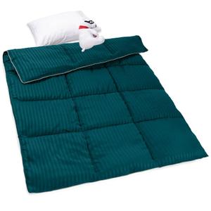 ZPECC Toddler Down Alternative Comforter, 39x47 Hypoallergenic Baby Blanket Quilt, Soft Breathable Lightweight All Season Kids Duvet Insert for Crib Stroller Cot Daycare, Teal (1 Count (Pack of 1))