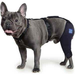 Dog Knee Brace with Harness and Connection Belt, Lightweight and Stretchable, Support for Torn ACL Hind Leg, Luxating Patella, Reduces Arthritis Pain and Inflammation (XXX-Small)