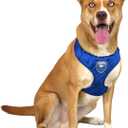 Littlearth NHL Unisex-Adult NHL Velvet Pet Harness M