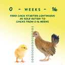 Manna Pro Medicated Chick Starter Grower Feed, Dried High Protein Chicken Food Crumbles with Amprolium for Coccidiosis Prevention, Complete Chicken Feed for Baby Chicks, 5 lb Bag