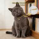 Gold Cat Chain Collar with Removable Bell,Adjustable Cuban Link Metal Necklace, Cute Pet Jewelry for Cats & Small Dogs