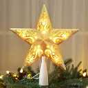 Brizled Gold Christmas Tree Topper, 8” 3D Christmas Star Topper, Glittered Hollow Xmas Tree Topper with 10 Warm White Lights, UL Certified Lighted Xmas Star Treetop for Holiday Home Decoration